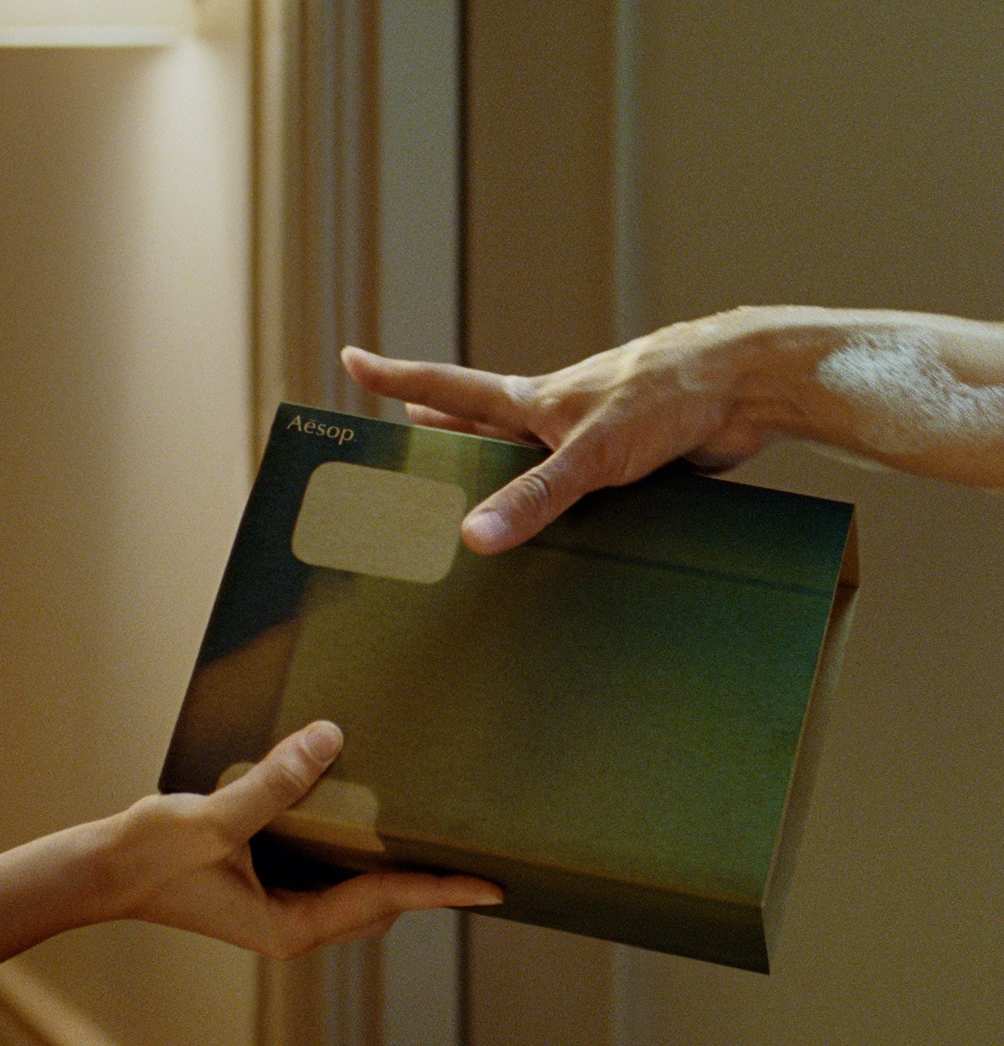 Hands passing a green cardboard box